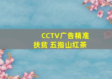 CCTV广告精准扶贫 五指山红茶